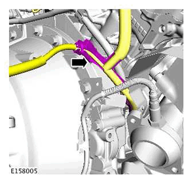 G11422569