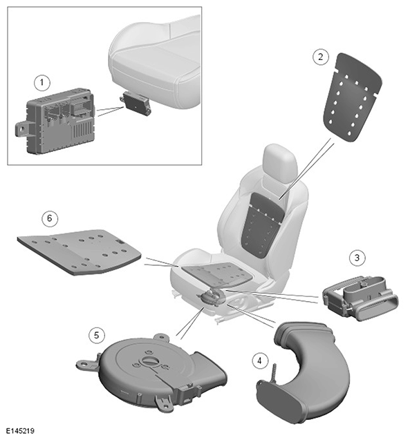 G11423021