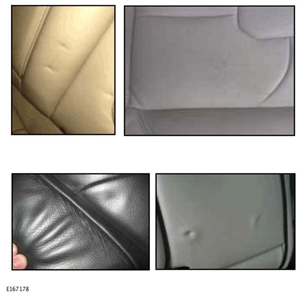 G11423029