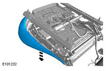 G11423084