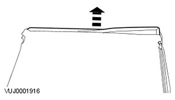 G11423116