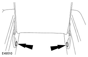 G11423118