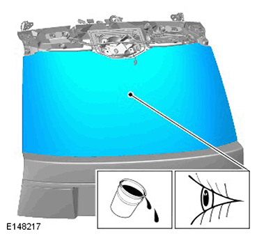G11423244