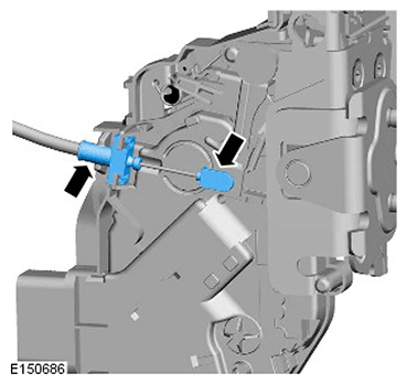 G11423337