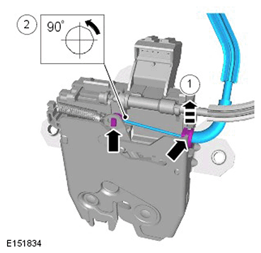 G11423405