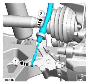 G11423586