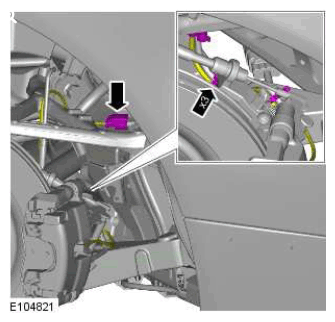 G11423649