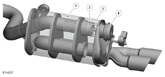 G11423854