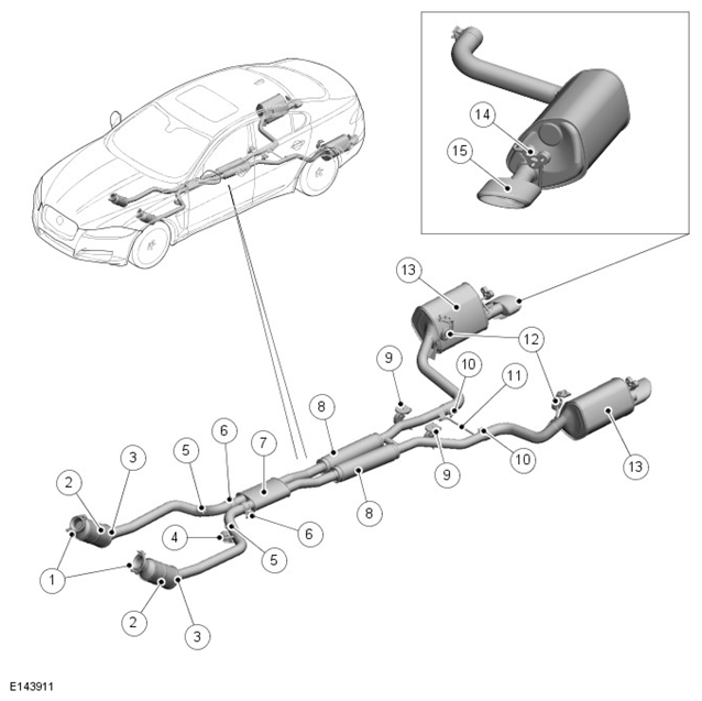 G11423894