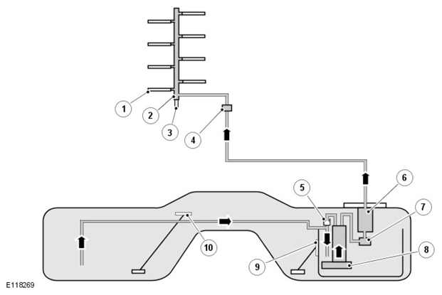 G11424075