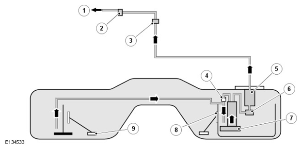 G11424168