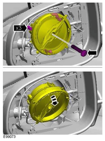 G11424384