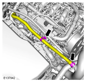 G11424493