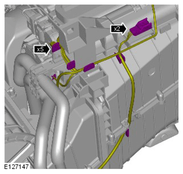 G11424506