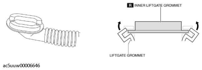 G11425952