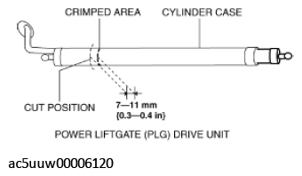 G11425996