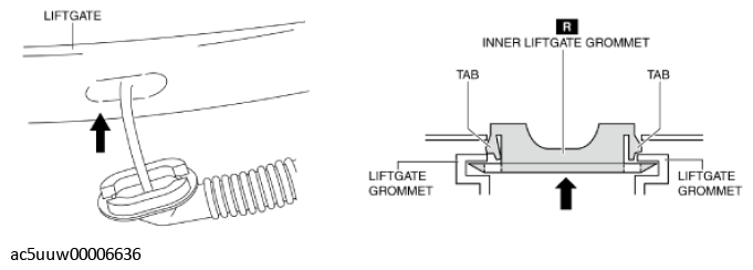 G11426032