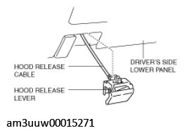 G11426590