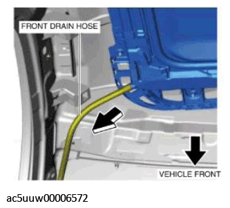 G11426701