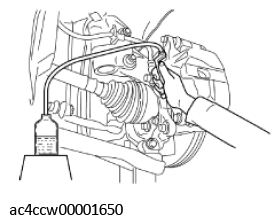 G11426884