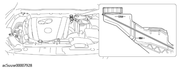 G11426885