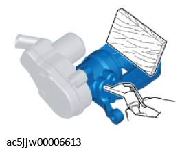 G11426931