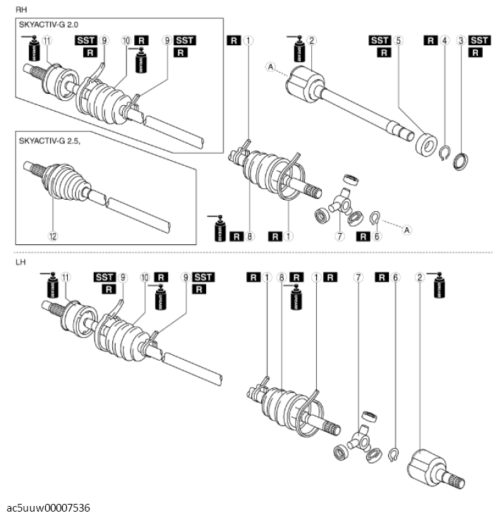 G11427130
