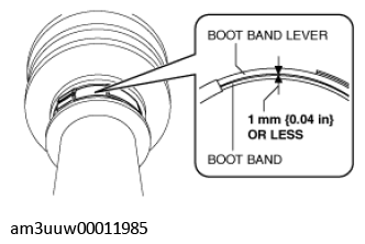 G11427164