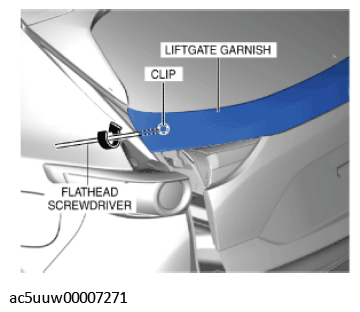 G11427571