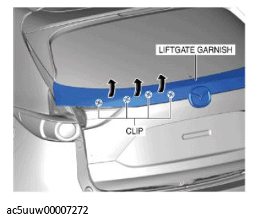 G11427572