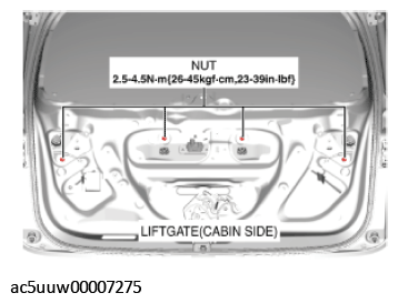 G11427595