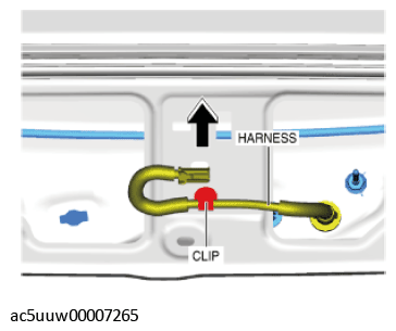 G11427606