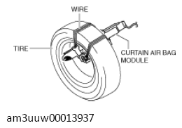 G11428389