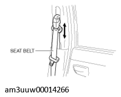 G11428678