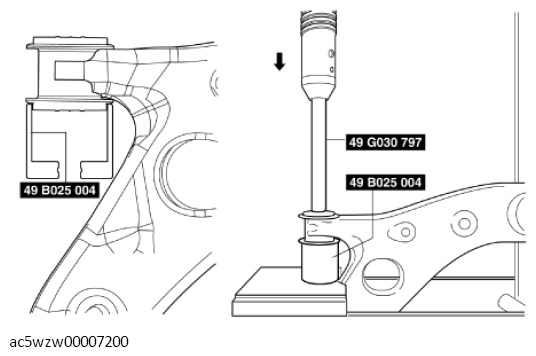 G11428789