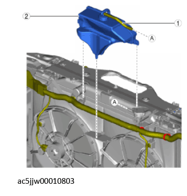 G11429360