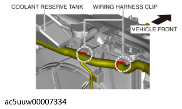G11429361