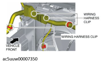 G11429366