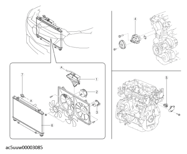 G11429370