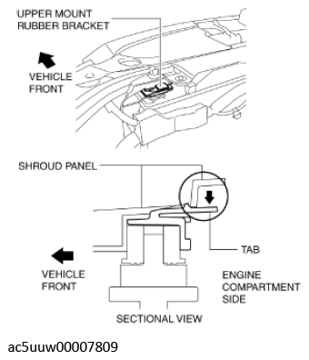 G11429380