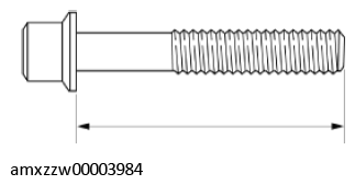 G11429684