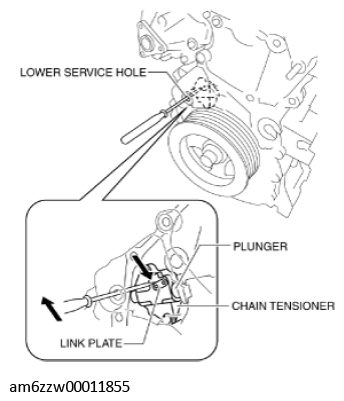 G11429722