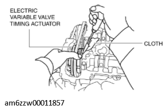 G11429728