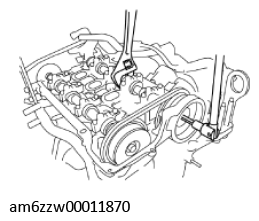 G11429882