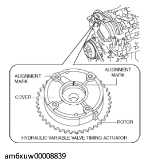 G11429906