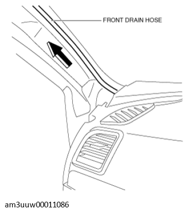 G11430382