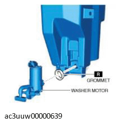 G11430495
