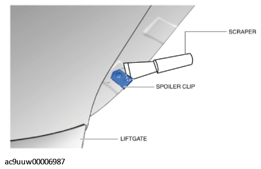 G11431198