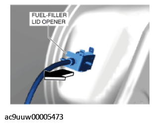 G11432695