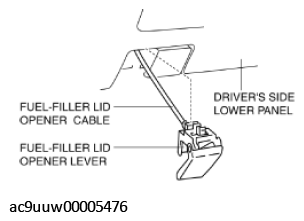 G11432698